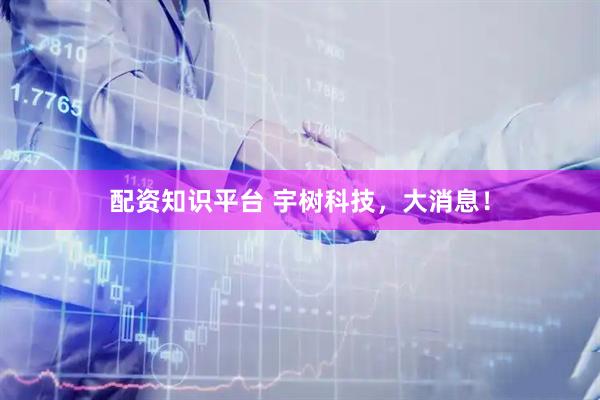 配资知识平台 宇树科技，大消息！